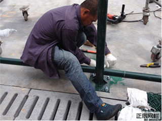 1636359784135500.jpg 201506291510488227.jpg