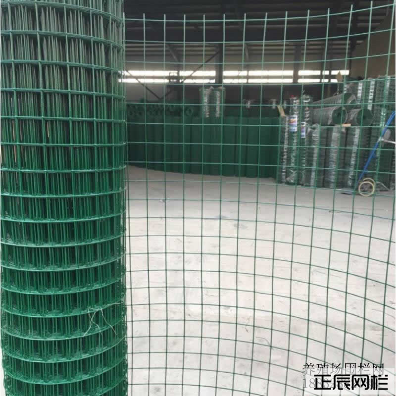 1638497616739629.jpg timg (2).jpg