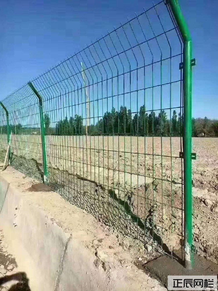 1639447589117601.jpg 1355dd58-52f0-4830-b64c-d5512bf16436.jpg