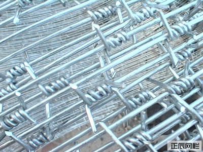 1646727418169115.jpg 刺鐵絲圍欄網(wǎng)