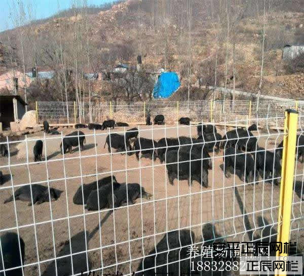 1650766363182603.jpg timg.jpg