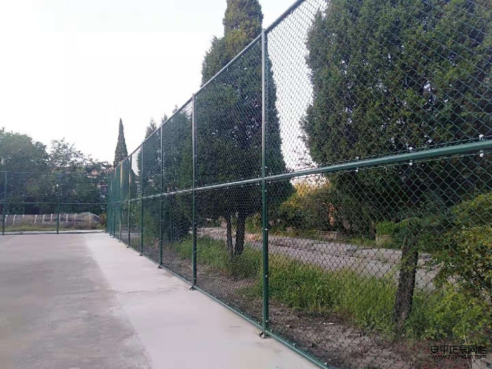 1658883671388276.jpg 47d4c1c177894efd92d6ea210c9db046.jpg