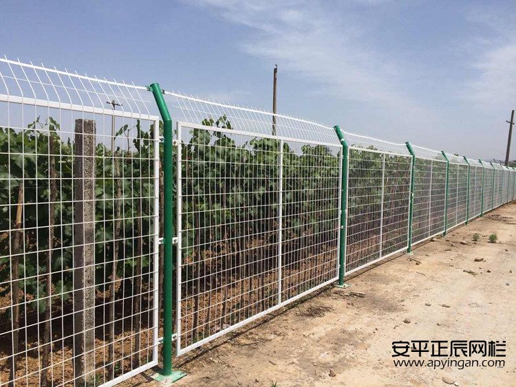 隔離護欄網