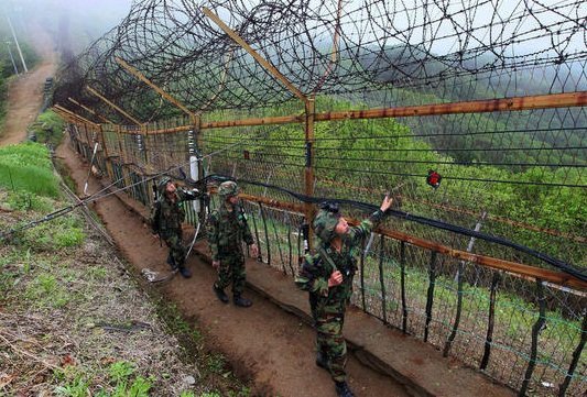 護(hù)欄網(wǎng)