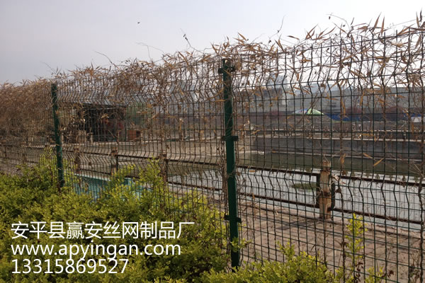 護(hù)欄網(wǎng)