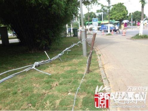 帶刺鐵絲網(wǎng)