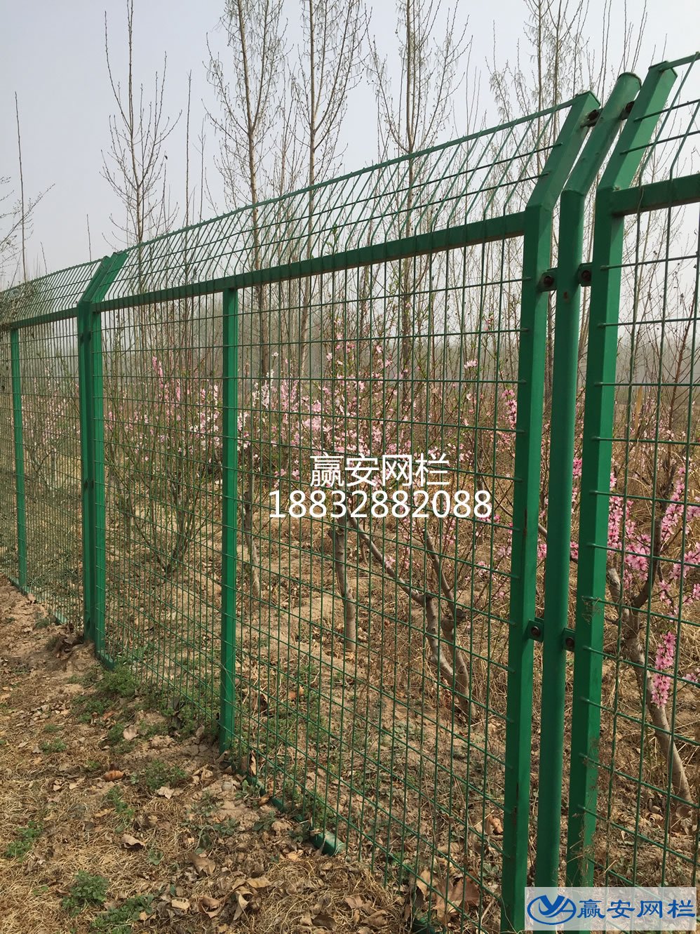 果園圍欄網(wǎng)