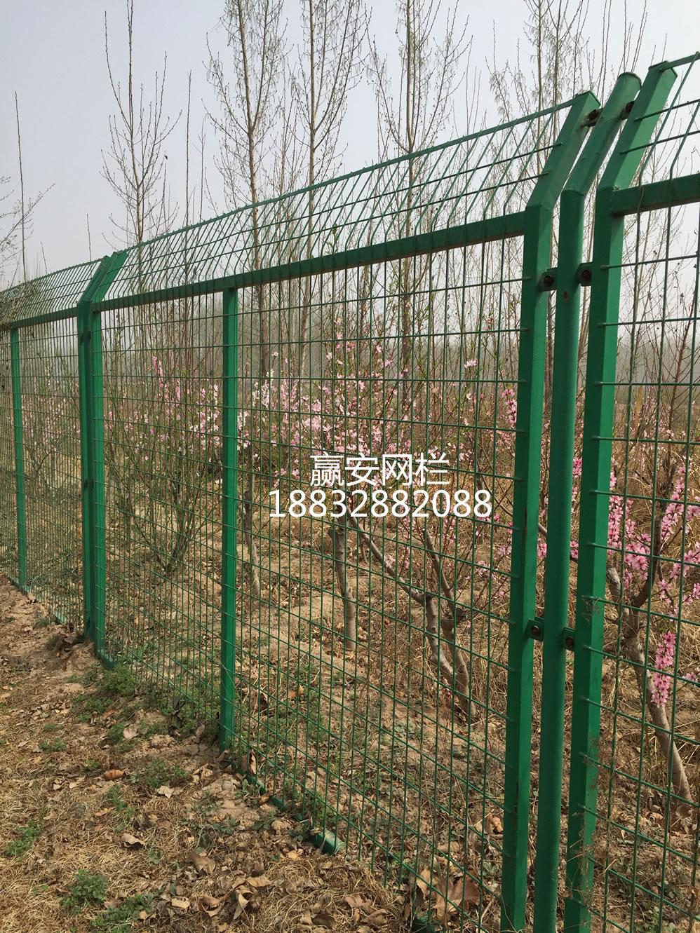 護(hù)欄網(wǎng)