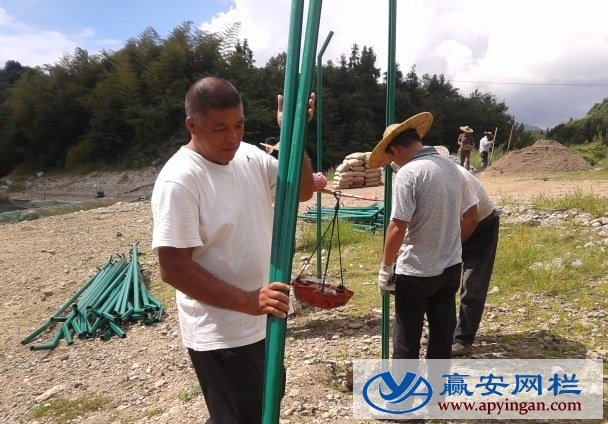 光伏電站圍欄網