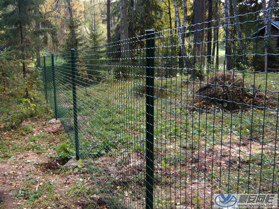鐵絲網圍欄