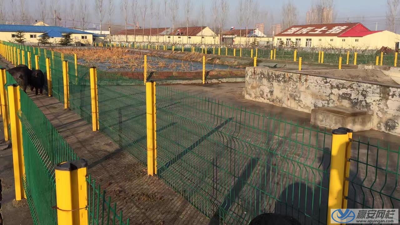 三角折彎式養殖場鐵絲網 養殖場鐵絲網