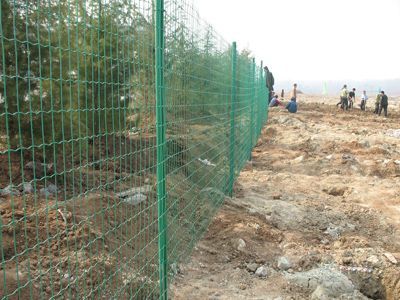 養雞場圍欄網 養雞場圍欄網