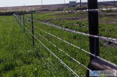 草原牛欄網廠家