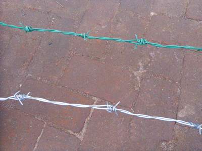 雙股刺繩 雙股刺繩