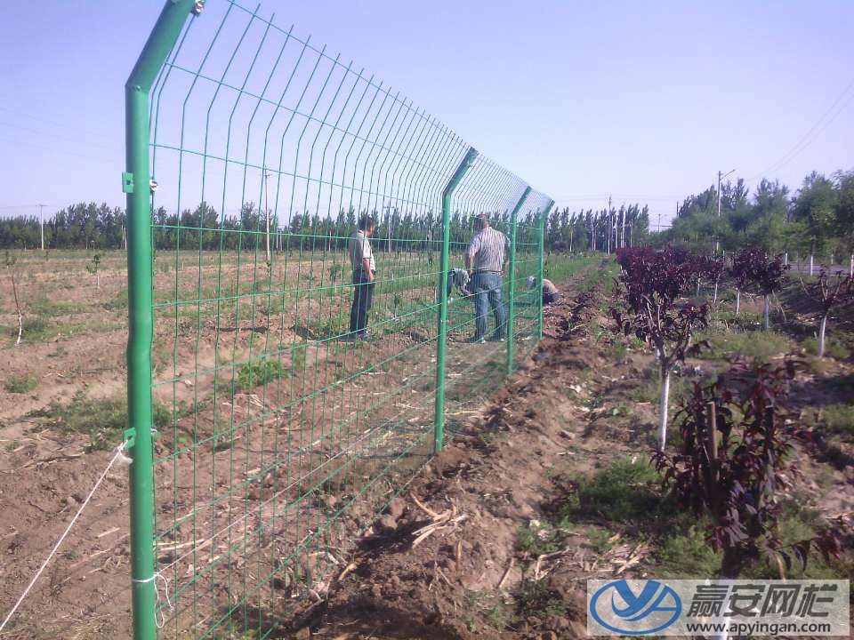 光伏電站防護(hù)圍欄 光伏電站防護(hù)圍欄