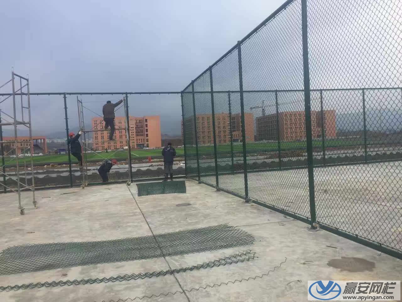 體育場鐵絲網圍欄