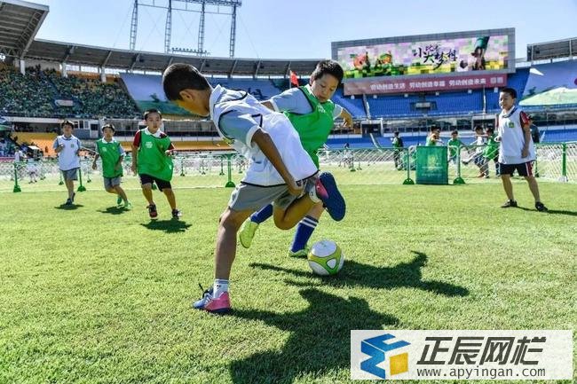 圍欄足球 圍欄足球