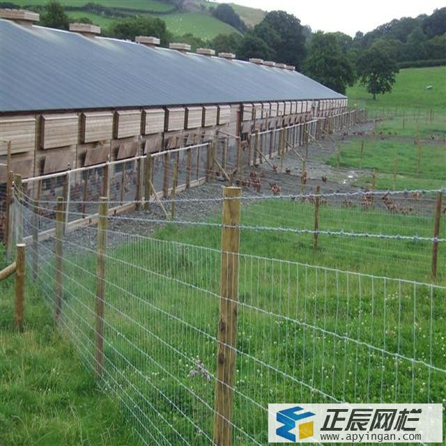 澳大利亞護(hù)欄