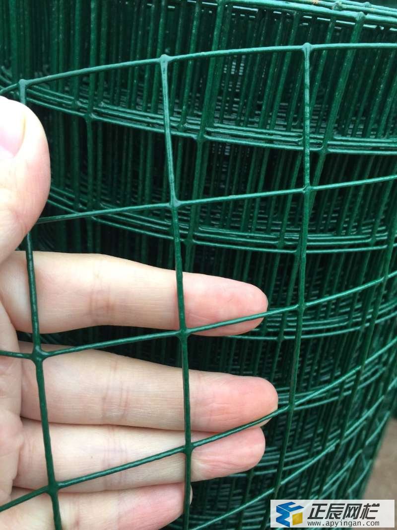 護(hù)欄網(wǎng)