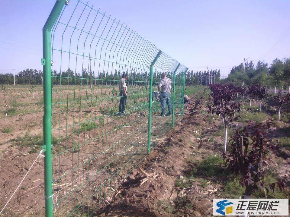 養殖鐵絲網圍欄