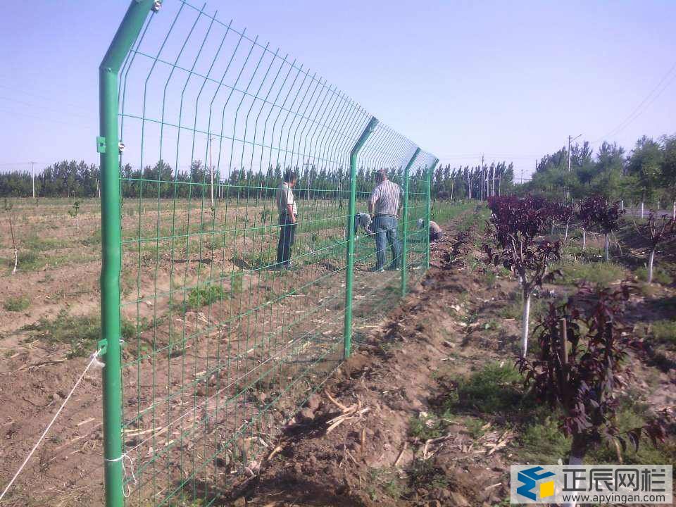 果園護欄網