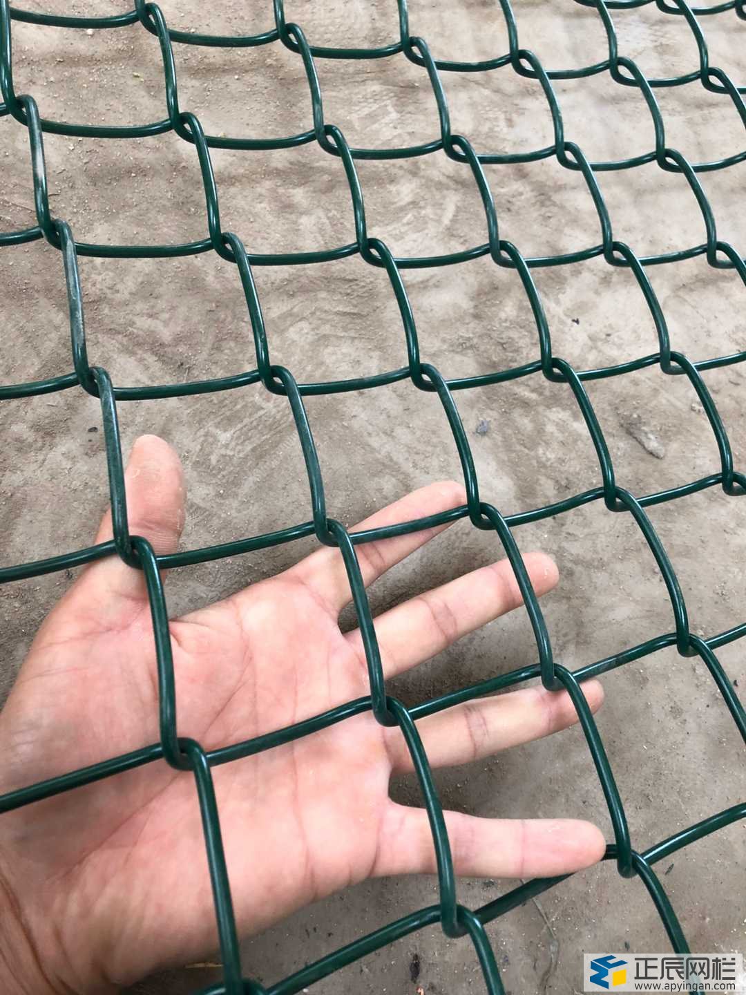 籃球場圍網(wǎng)報價