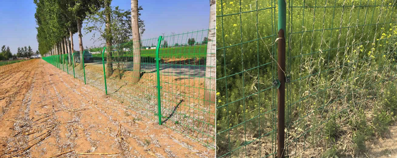 籃球場圍網廠家