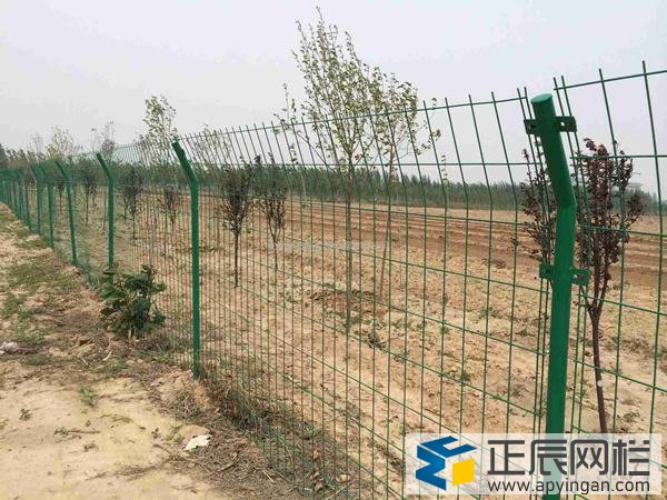 雙邊絲護欄網(wǎng)