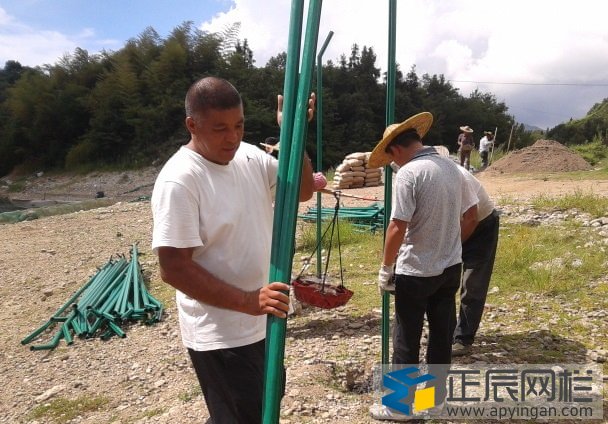 光伏站圍欄多少錢一米